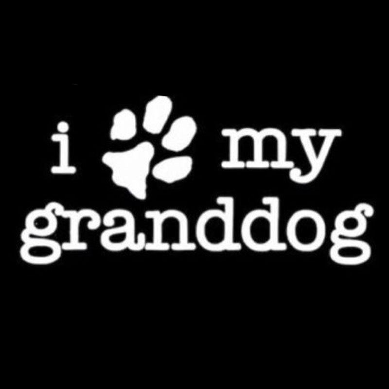 New Brand 14.6CM*7.2CM I LOVE MY GRANDDOG Dog Funny Vinyl Decal Motorcycle Car Sticker