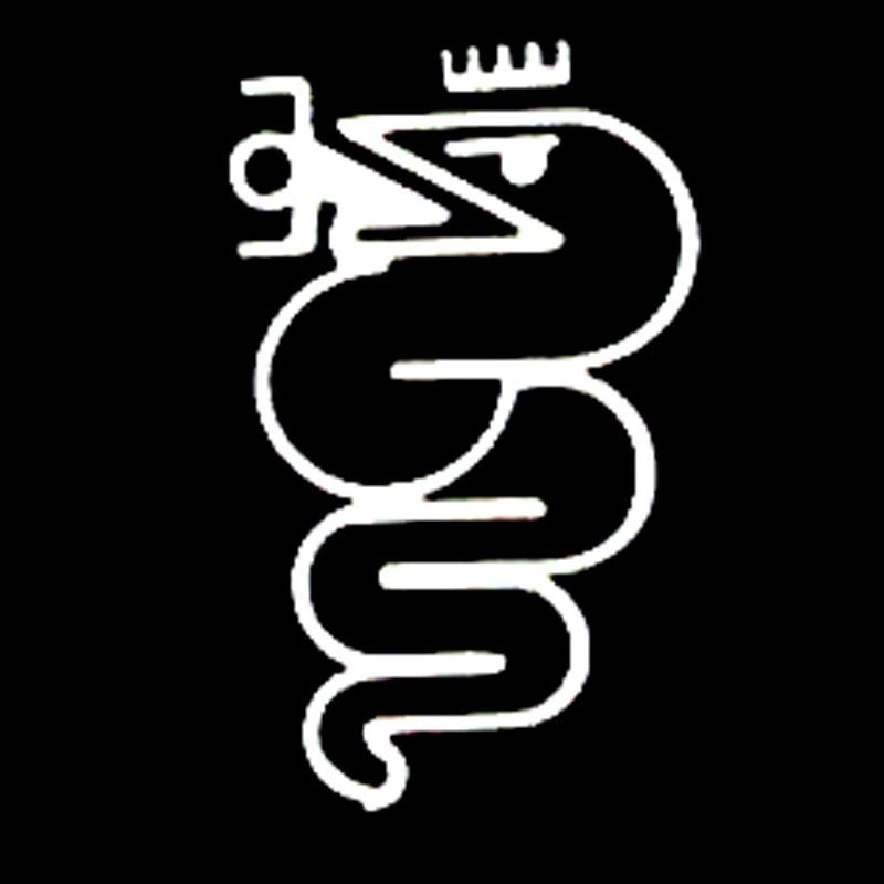 Hot 8.4cm*14cm Cartoon Interesting Snake Vinyl Car Sticker Decals Car Accessories