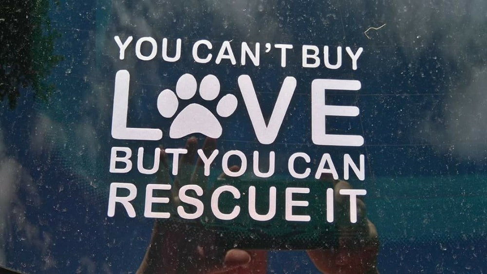 New Hot You Can't Buy Love but You Can Rescue It (5 inchesX 4inches;) Die Cut Decal Bumper Sticker for Windows, Cars, Trucks, Laptops, Etc. car sticker