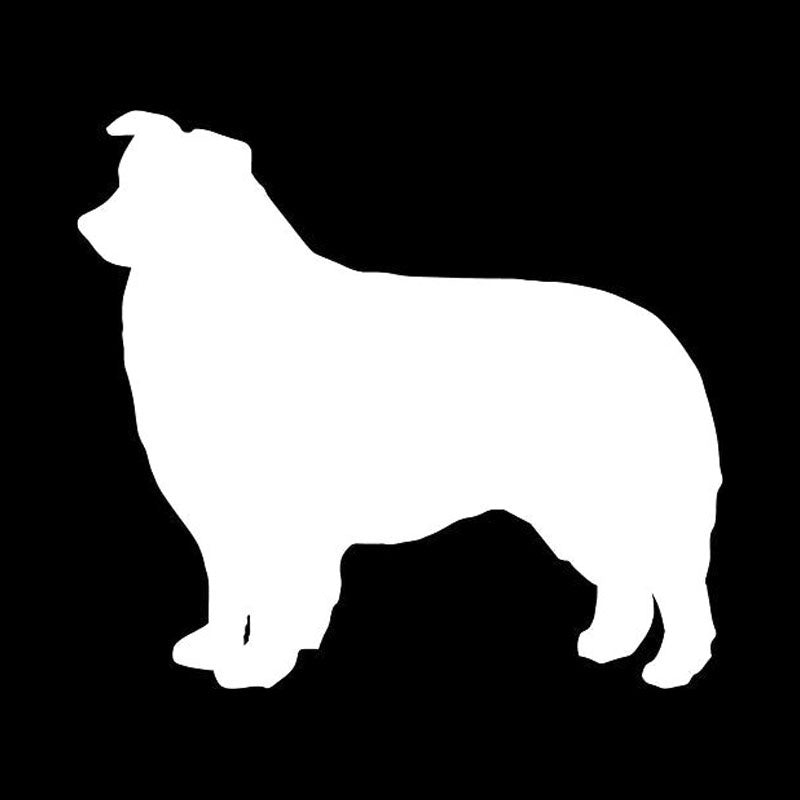 Hot 10.6*9.5CM Border Collie Dog Vinyl Decal Car Window Stickers Car Styling Bumper Decoration