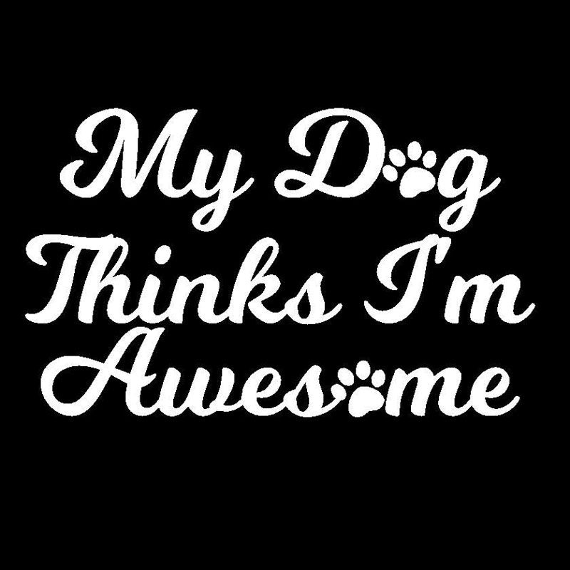 New Fashion 12.7*7.8CM Dog Love MY DOG THINKS I'M AWESMOME Car Sticker Car Styling Accessories Decorative Decals
