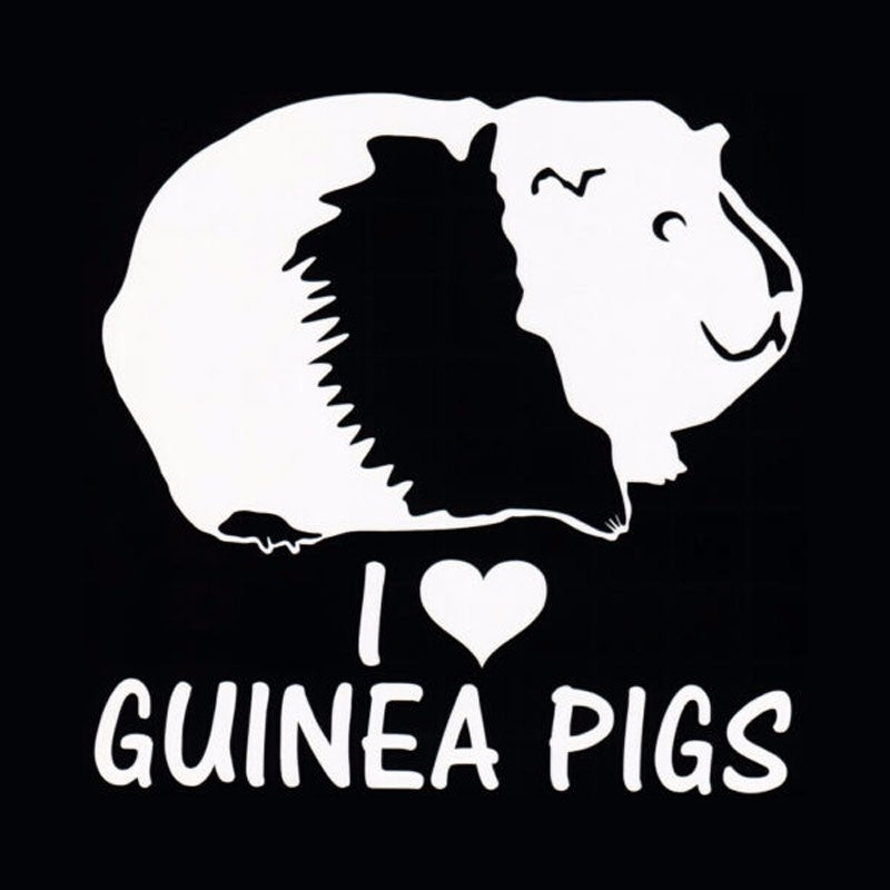 New Fashion Personality Animal I LOVE GUINEA PIGS Cute Cartoon Vinyl Window Stickers