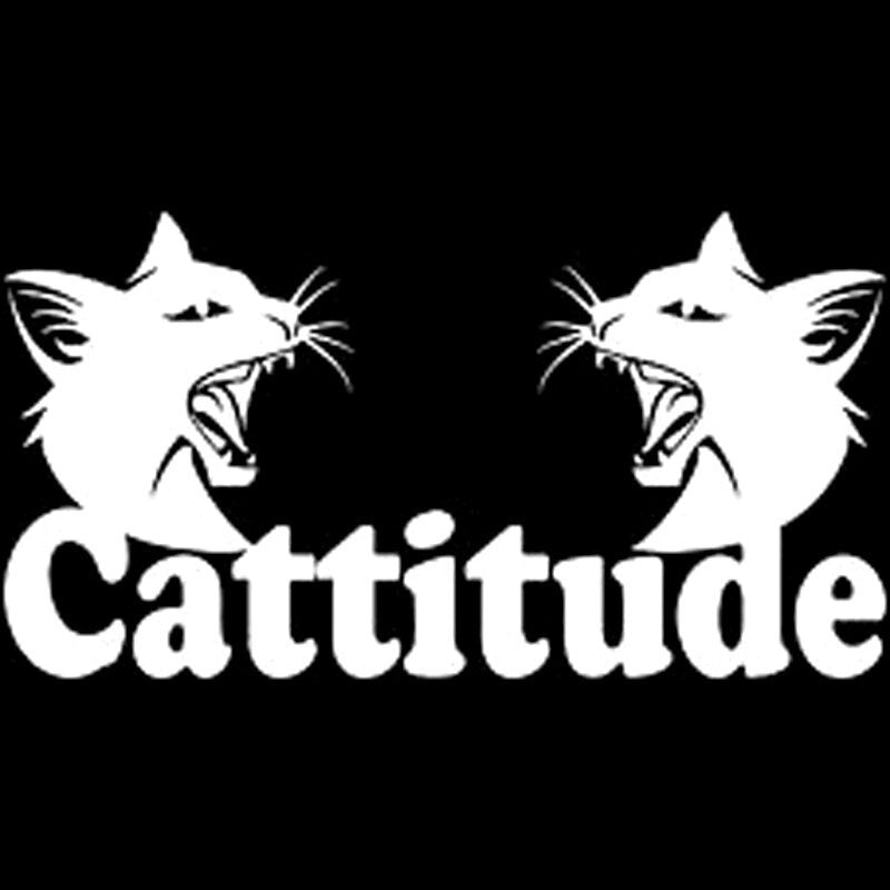 16CM*8.5CM Cat Animal Funny Kitty Pet Car Truck Window Vinyl Decal Sticker For Car Stylings Car Sticker Black/Sliver C8-0224