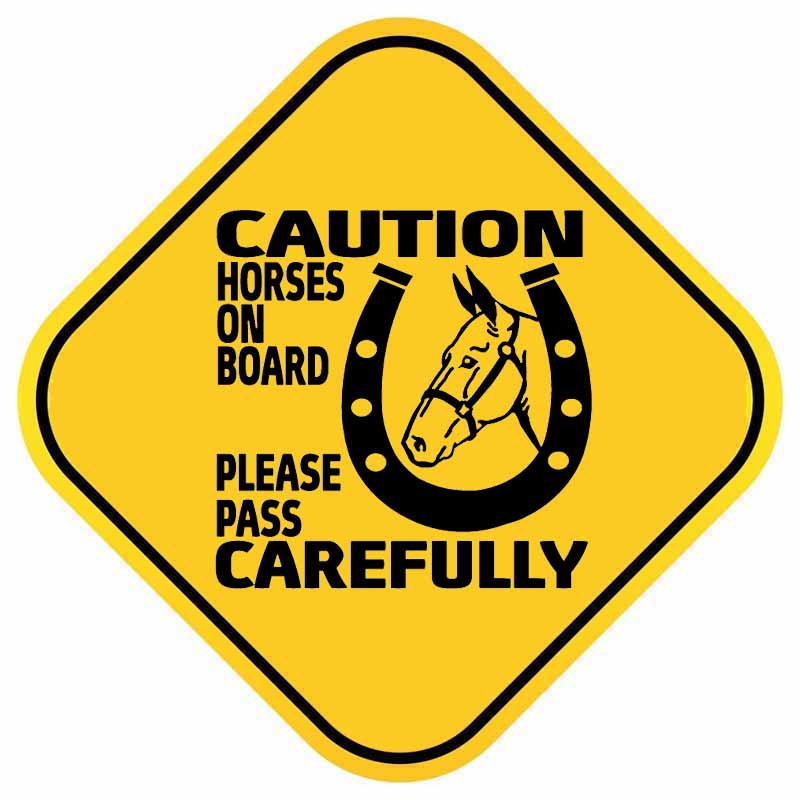 15.5CM*15.5CM CAUTION HORSES ON BOARD PLEASE PASS CAREFULLY Car Sticker Decal 12-40504