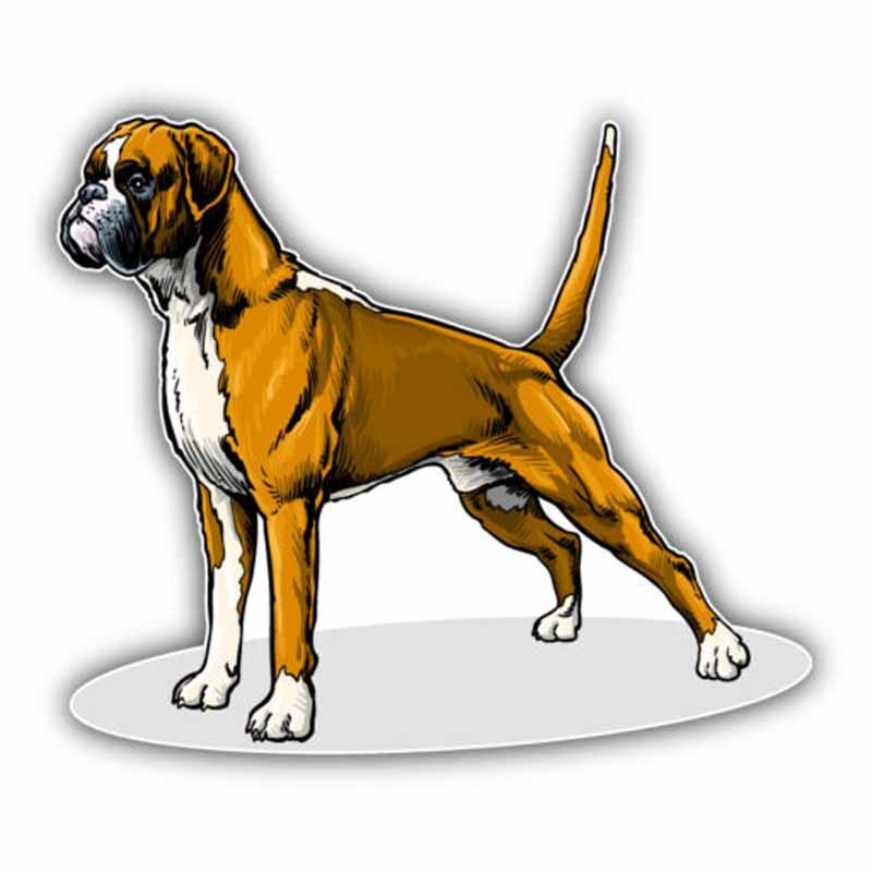 14CMx11.8CM Lovely Boxer Breed Dog Car Decoration Bumper High Quality Car Sticker C1-9078