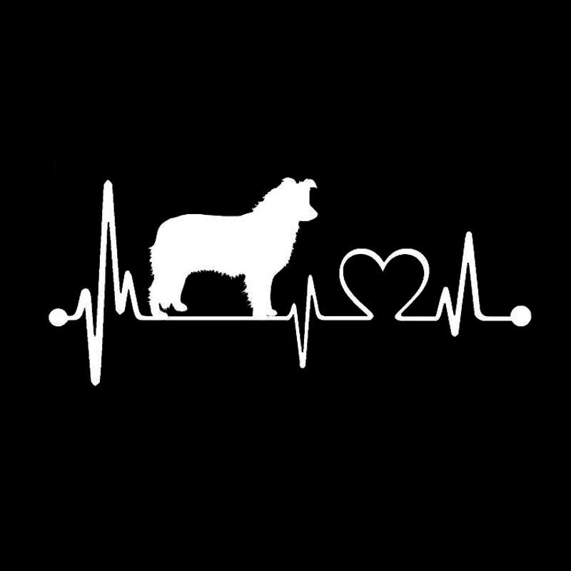 19*8.3CM Border Collie Dog Heartbeat Decal Stickers Car Cover Scratches Decorative Accessories C6-1130