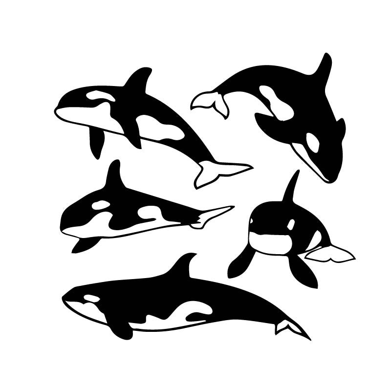 30x30CM(One Group)Cute Killer Whale Home Decor Wall Sticker Bathroom Shower Glass Decals G2-0505