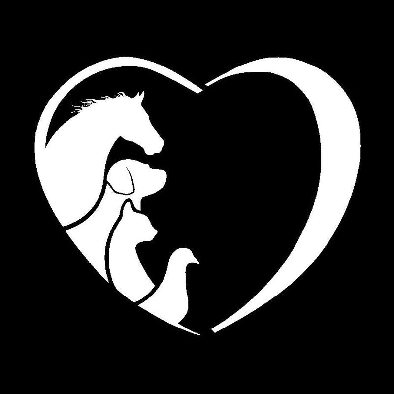 High-quality 12.7*10.9CM HORSE CAT DOG VET Animal Lover Vinyl Car Sticker Creative Love Cartoon Window Decorative Decals C6-1342