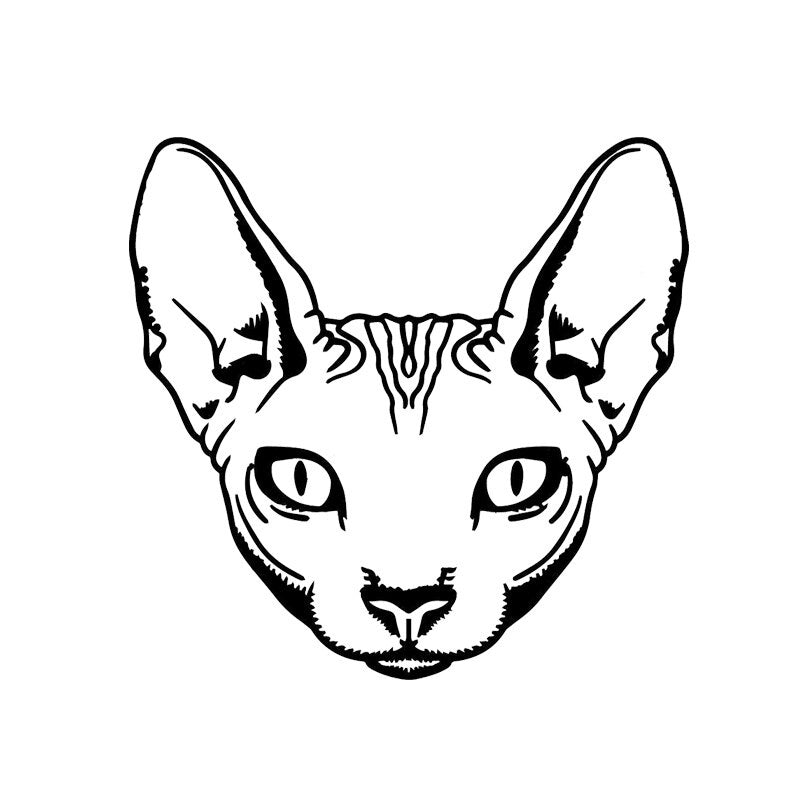 21.2*20.5CM Sphynx Cat Toilet Decal Wall Sticker BedRoom Home Decoration T4-0044
