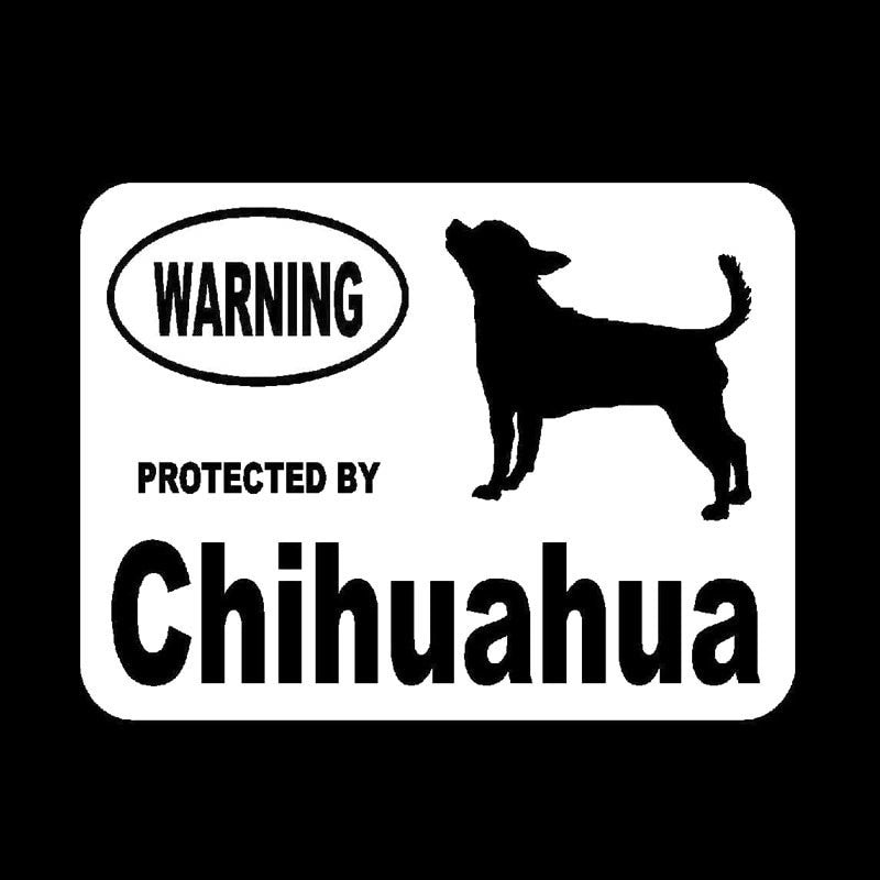10.2cm*7.6cm Creative Fashion By Chihuahua Protected Animal Vinyl Car Stickers C5-1920