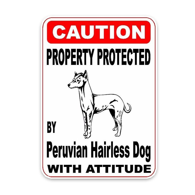 10*14.2CM Property Protected By Peruvian Hairless Dog The Tail Of The Car Car Sticker C1-4754