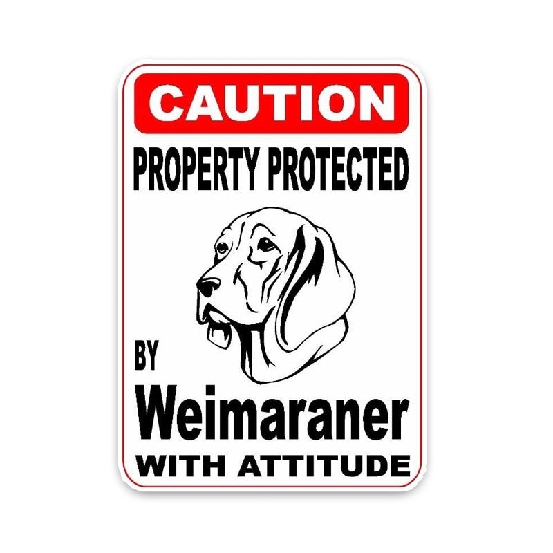 10*14.2CM Property Protected By Weimaraner Dog Car Bumper Car Sticker C1-4412