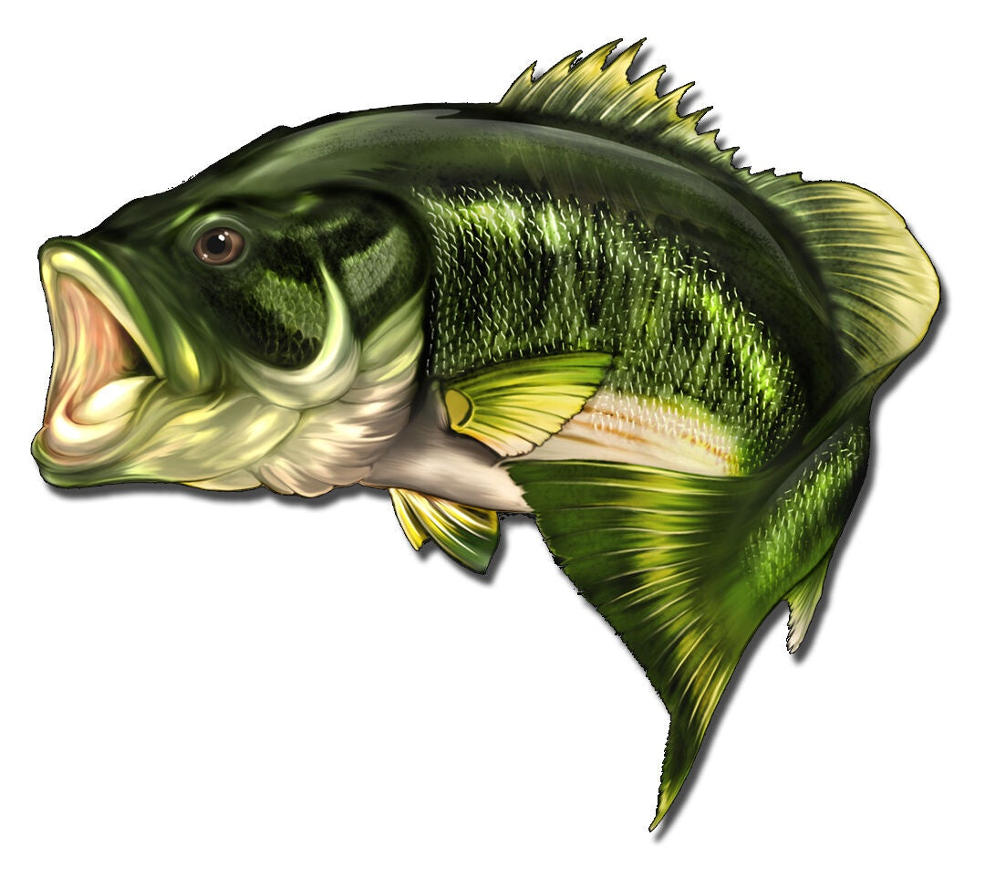 1 Pair Large Mouth Bass Fish Sticker Fishing Car Vehicle Window Vinyl Decal