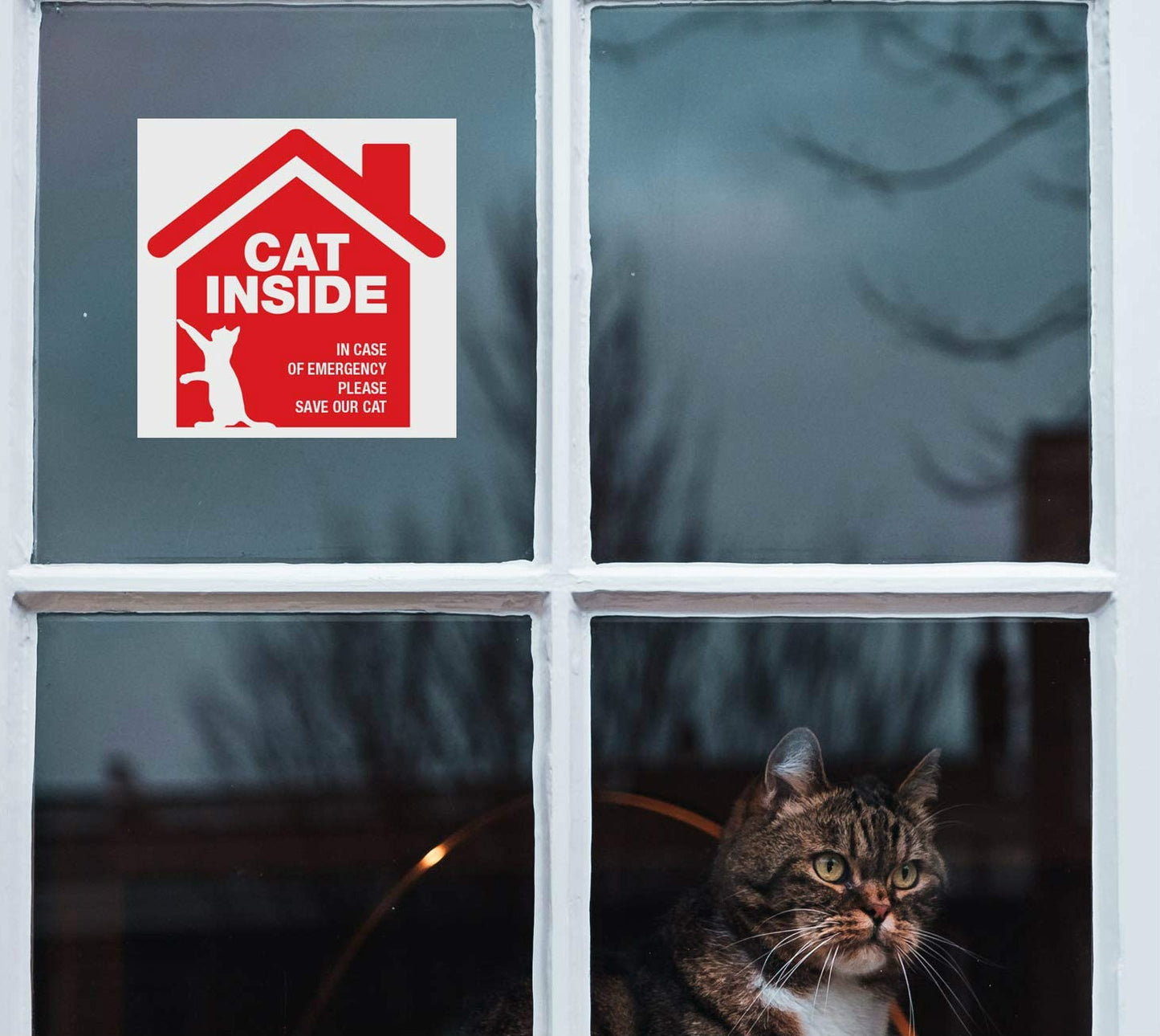 5"x5" 4Pcs Cat Inside Alert Signs Stickers Premium Self-Adhesive Vinyl, Weather, Scratch, Water and Fade Resistance, Indoor and Outdoor