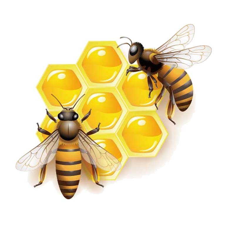 15.4CM*13.7CM Bees That Eat Honey PVC Car Sticker Decal