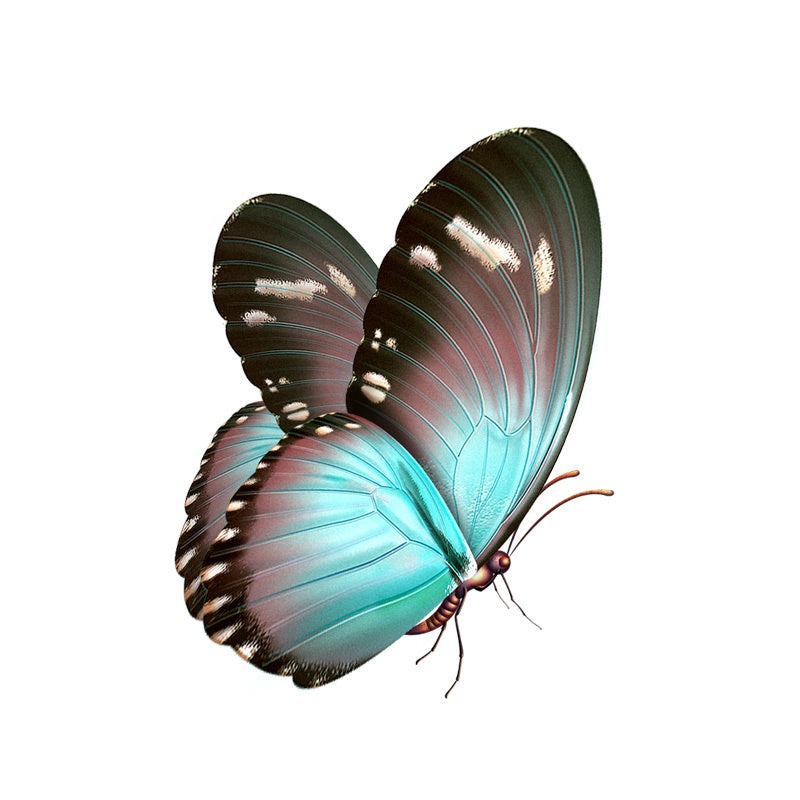 10.7CM*13.8CM Beautiful Hand Drawn Butterfly Decal PVC Motorcycle Car Sticker