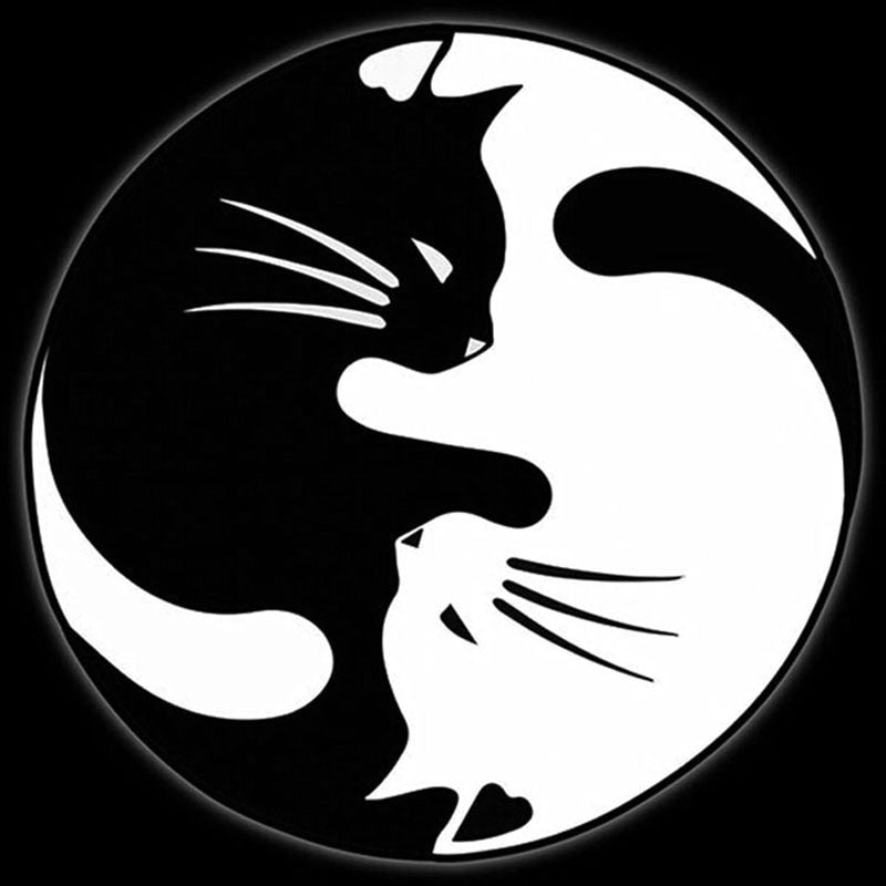 Car Sticker 15*15CM Yin And Yang Cat Automobile Styling On Car Funny 3D Decal Motorcycle Stickers Car Styling