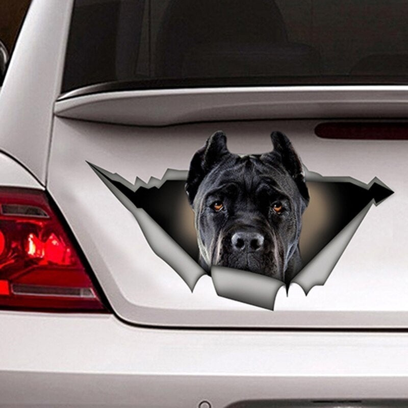 13cmx7.6cm Black Cane Corso Car Sticker Torn Metal Decal Stickers Waterproof Car Styling Pet Dog Decals