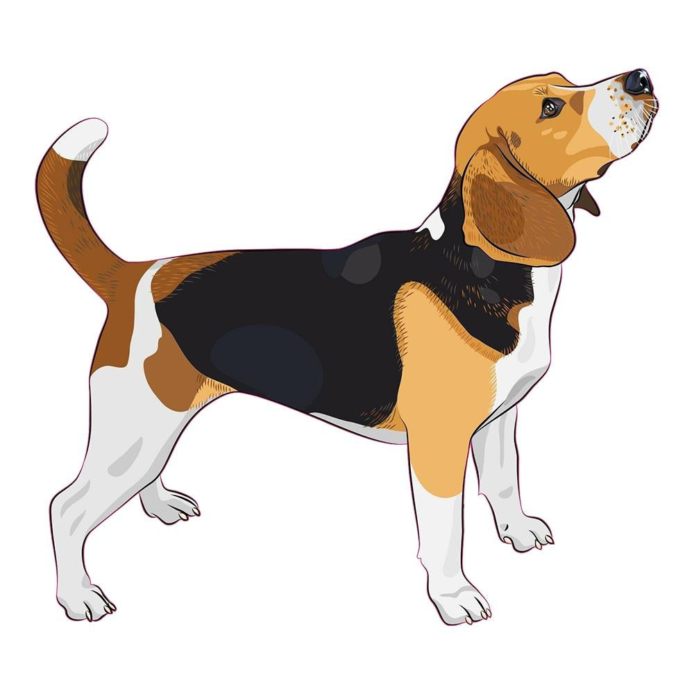 Beagle Bumper Vinyl Sticker Decal for Car Truck Window Bumper