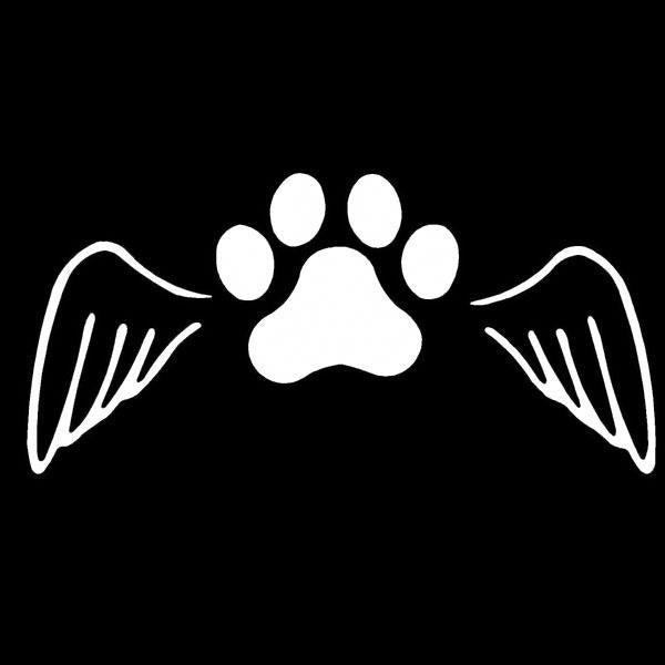 Hot 1PCS 14*7CM Pet Dog Cat Paw Print Angel Wings Car Accessories Vinyl Car Sticker Motorcycle Fine Decals