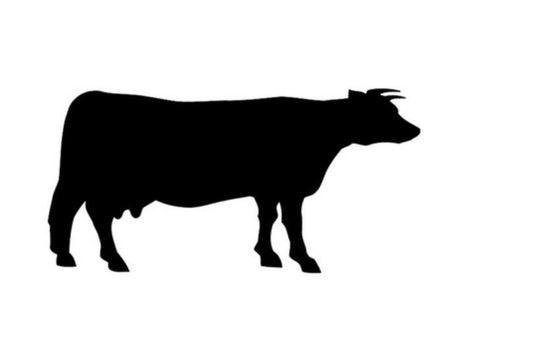 New Hot Cows Farm Cute Funny Graphic Car Sticker for Truck Window Bumper Door Laptop Kayak Vinyl Decal Car Sticker