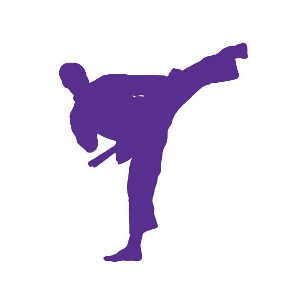 New Brand 12 *14 cm Karate Taekwondo Kung Fu JDM Graphic Vinyl Decal Car Sticker Windshield Window Glass Bumper Funny Truck Auto Door SUV Art Wall Laptop Waterproof Protector Refit
