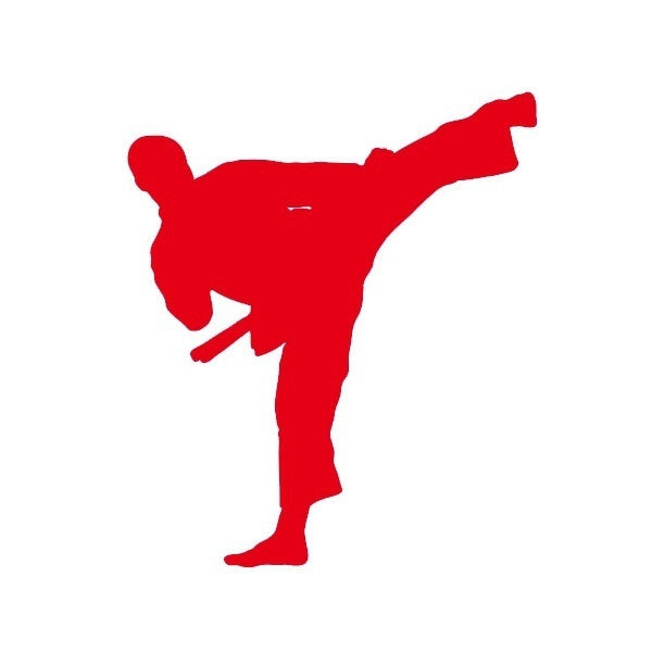New Brand 12 *14 cm Karate Taekwondo Kung Fu JDM Graphic Vinyl Decal Car Sticker Windshield Window Glass Bumper Funny Truck Auto Door SUV Art Wall Laptop Waterproof Protector Refit