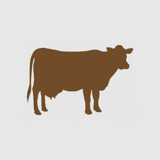 New Hot 5.3*3.5 inch Home Decorations Vinyl Decal Car Sticker Window Sticker JDM Truck SUV Waterproof 9 Colours Cow