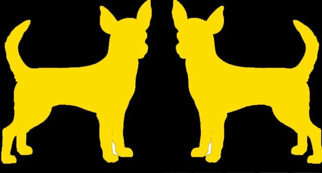 New Fashion 6*3 inch 2 Chihuahua Dog Graphic (right & Left)  Vinyl Decal Car Window Glass Bumper Sticker funny JDM Auto SUV Art Wall Laptop Laptop Waterproof Protector Refit