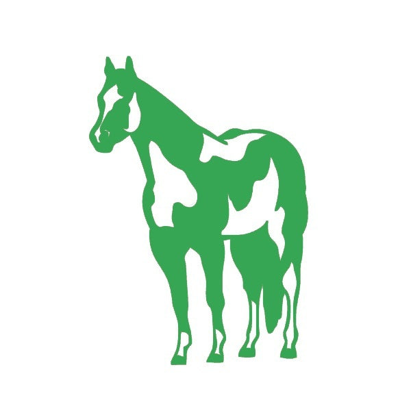 Fashion 12 *17 cm Indian Horse Mustang Graphic Vinyl Decal Car Sticker Windshield Window Glass Bumper Funny Truck Auto Door SUV Art Wall Laptop Waterproof Protector Refit