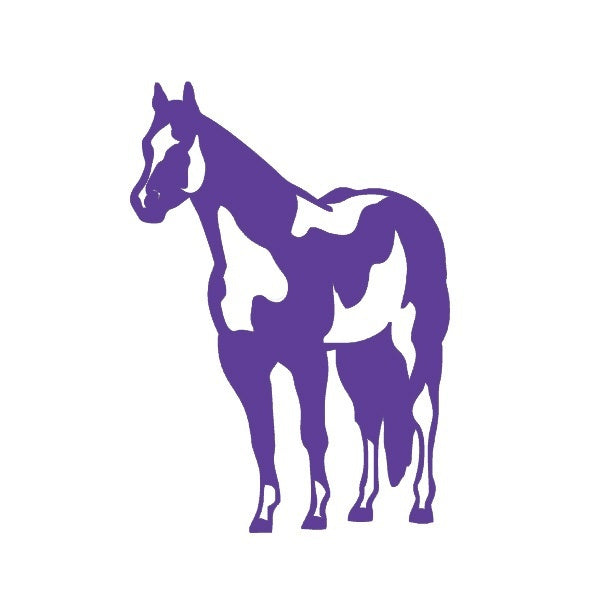 Fashion 12 *17 cm Indian Horse Mustang Graphic Vinyl Decal Car Sticker Windshield Window Glass Bumper Funny Truck Auto Door SUV Art Wall Laptop Waterproof Protector Refit