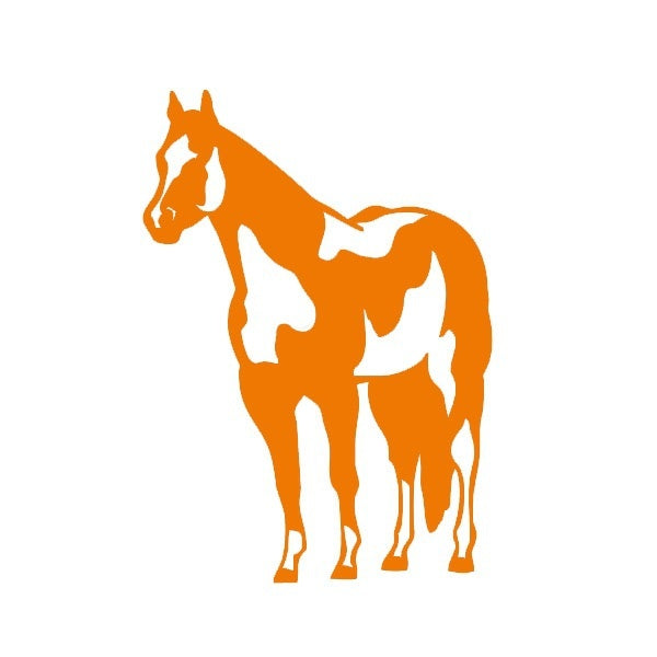 Fashion 12 *17 cm Indian Horse Mustang Graphic Vinyl Decal Car Sticker Windshield Window Glass Bumper Funny Truck Auto Door SUV Art Wall Laptop Waterproof Protector Refit