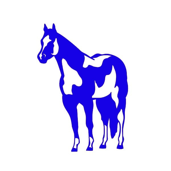 Fashion 12 *17 cm Indian Horse Mustang Graphic Vinyl Decal Car Sticker Windshield Window Glass Bumper Funny Truck Auto Door SUV Art Wall Laptop Waterproof Protector Refit