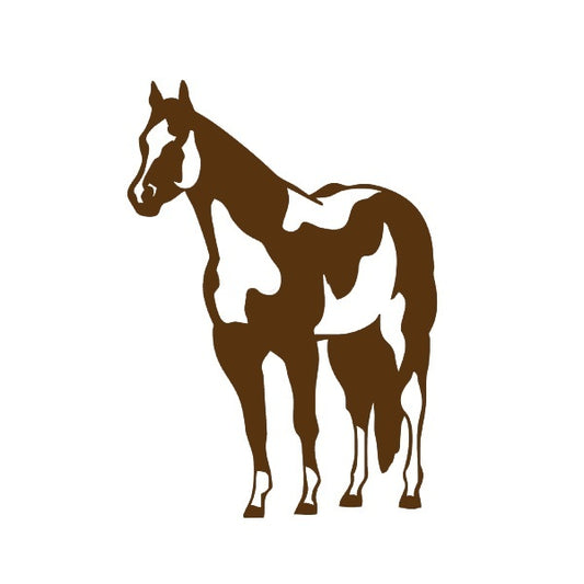 Fashion 12 *17 cm Indian Horse Mustang Graphic Vinyl Decal Car Sticker Windshield Window Glass Bumper Funny Truck Auto Door SUV Art Wall Laptop Waterproof Protector Refit