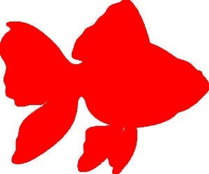 Hot 13*11 cm Goldfish Graphic Vinyl Decal Car Window Glass Bumper Sticker funny JDM Auto SUV Art Wall Laptop Waterproof Protector Refit
