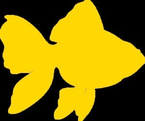 Hot 13*11 cm Goldfish Graphic Vinyl Decal Car Window Glass Bumper Sticker funny JDM Auto SUV Art Wall Laptop Waterproof Protector Refit