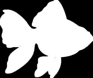 Hot 13*11 cm Goldfish Graphic Vinyl Decal Car Window Glass Bumper Sticker funny JDM Auto SUV Art Wall Laptop Waterproof Protector Refit