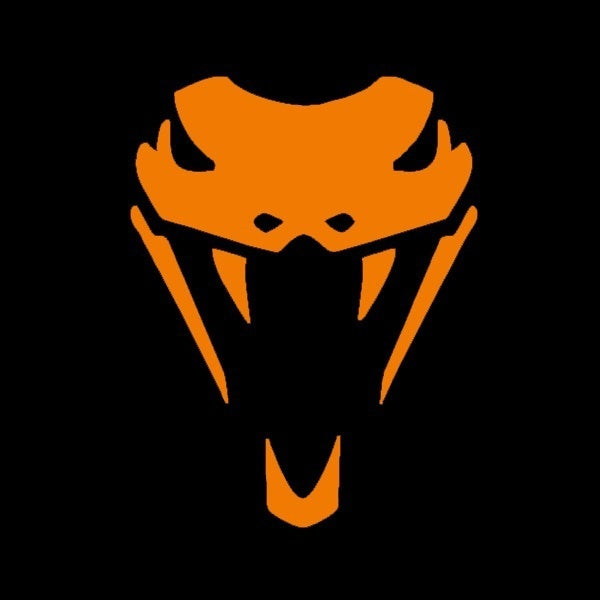 High-quality 10 cmx13 cm Home Decorations Vinyl Decal Car Stickers Window Sticker Waterproof Sticker JDM Snake Head