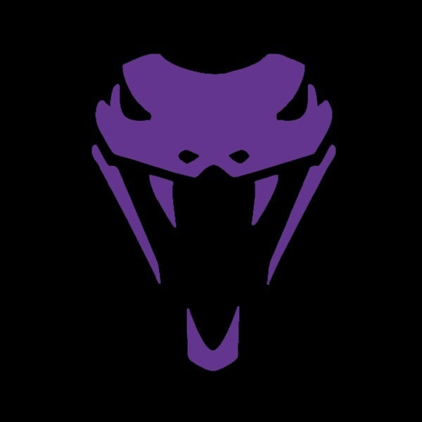 High-quality 10 cmx13 cm Home Decorations Vinyl Decal Car Stickers Window Sticker Waterproof Sticker JDM Snake Head