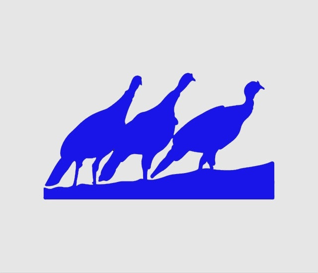 New Hot 4*7 inch Turkey Trio Hunting Bird JDM Graphic Vinyl Decal Car Sticker Windshield Window Glass Bumper Funny Truck Auto Door SUV Art Wall Laptop Waterproof Protector Refit