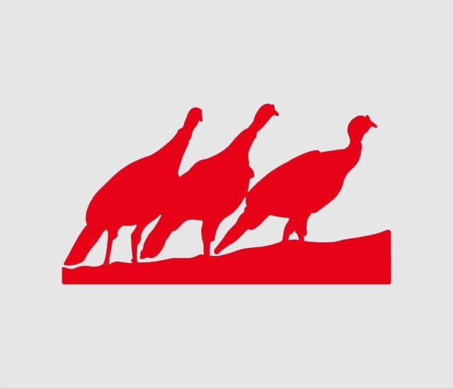 New Hot 4*7 inch Turkey Trio Hunting Bird JDM Graphic Vinyl Decal Car Sticker Windshield Window Glass Bumper Funny Truck Auto Door SUV Art Wall Laptop Waterproof Protector Refit