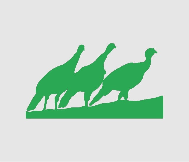 New Hot 4*7 inch Turkey Trio Hunting Bird JDM Graphic Vinyl Decal Car Sticker Windshield Window Glass Bumper Funny Truck Auto Door SUV Art Wall Laptop Waterproof Protector Refit