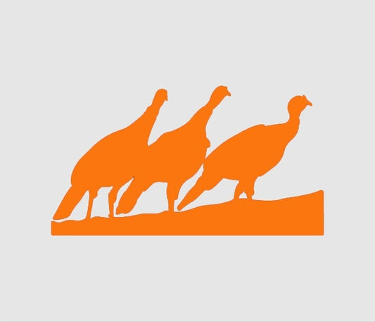 New Hot 4*7 inch Turkey Trio Hunting Bird JDM Graphic Vinyl Decal Car Sticker Windshield Window Glass Bumper Funny Truck Auto Door SUV Art Wall Laptop Waterproof Protector Refit