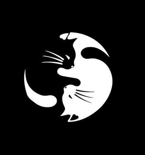 New Brand  13*13CM Personalized CAT Car Stickers Adorable Animal Cat Decal Stickers Cover Scratches Car Accessories CT-758