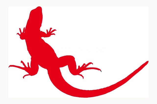2017 NEW 20.3*13.3 cm Lizard JDM Graphic Vinyl Decal Car Sticker Windshield Window Glass Bumper Funny Truck Auto Door SUV Art Wall Laptop Waterproof Protector Refit