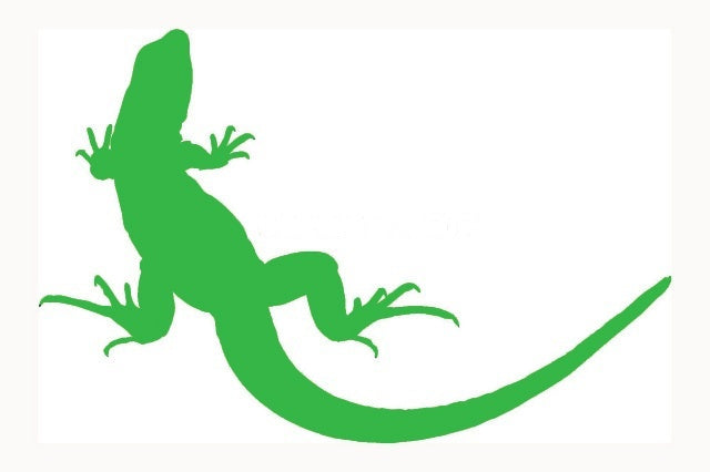 2017 NEW 20.3*13.3 cm Lizard JDM Graphic Vinyl Decal Car Sticker Windshield Window Glass Bumper Funny Truck Auto Door SUV Art Wall Laptop Waterproof Protector Refit