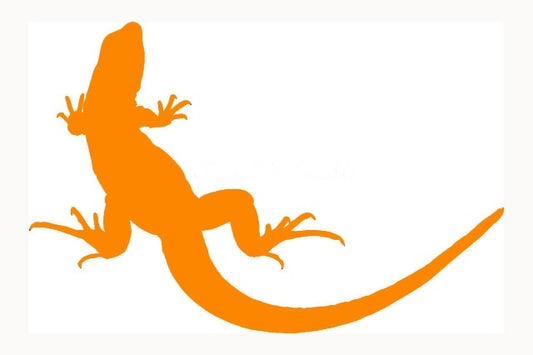 2017 NEW 20.3*13.3 cm Lizard JDM Graphic Vinyl Decal Car Sticker Windshield Window Glass Bumper Funny Truck Auto Door SUV Art Wall Laptop Waterproof Protector Refit