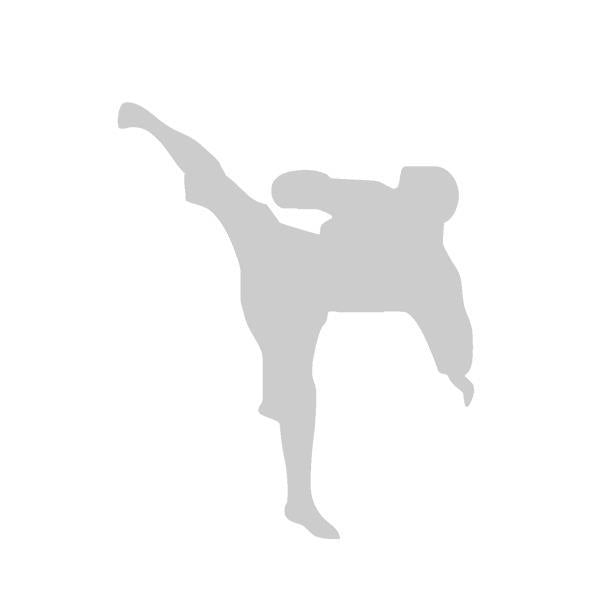 11*13.5 cm  Chinese Kung Fu Combat Sports Graphic Vinyl Decal Car Sticker Windshield Window Glass Bumper Funny JDM Truck Auto Door SUV Art Wall Laptop Kayak Waterproof Protector Refit