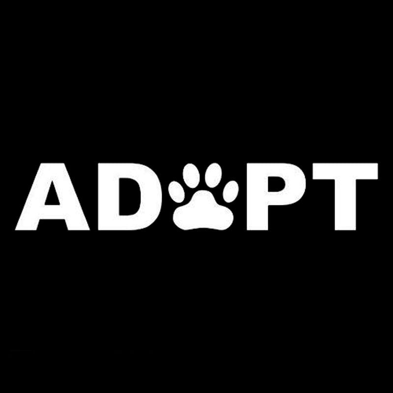 New Hot 15CM*3CM Paw Sticker Vinyl Decal Dog Cat Pet Puppy Animal Car Heart Rescue Car Sticker