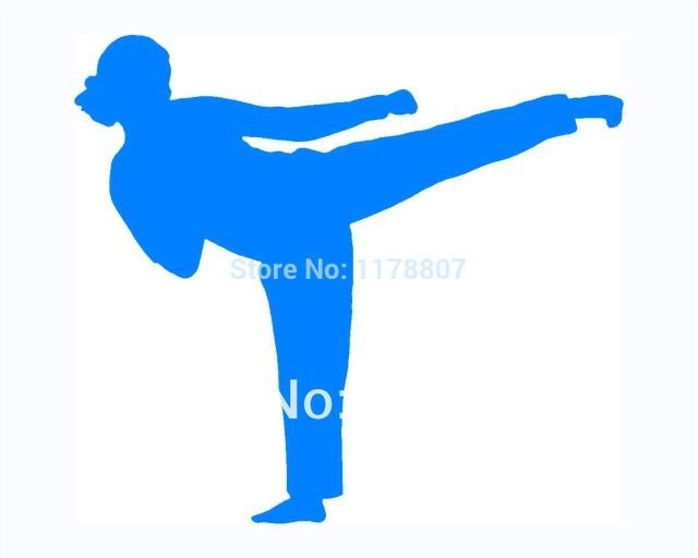 New Hot 11 cm x 14 cm Karate Girl JDM Graphic Vinyl Decal Car Sticker Windshield Window Glass Bumper Funny Truck Auto Door SUV Art Wall Laptop Waterproof Protector Refit
